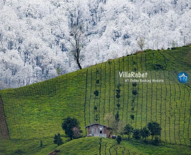 جاذبه های گردشگری ماسال کجاست ؟ اجاره ویلا ماسال اجاره کلبه ماسال اجاره ماسال (4)