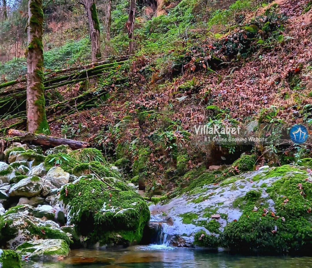 رزرو ویلا جیسا رزرو ویلا در جیسا کلاراباد متل قو (2) copy