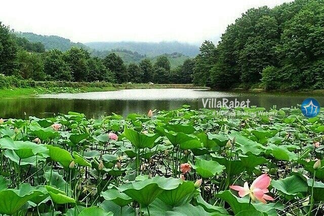 روستا های اطراف لاهیجان (2)