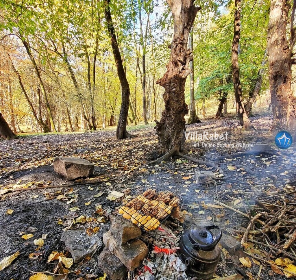 لفور کجاست جنگل لفور اجاره کلبه لفور