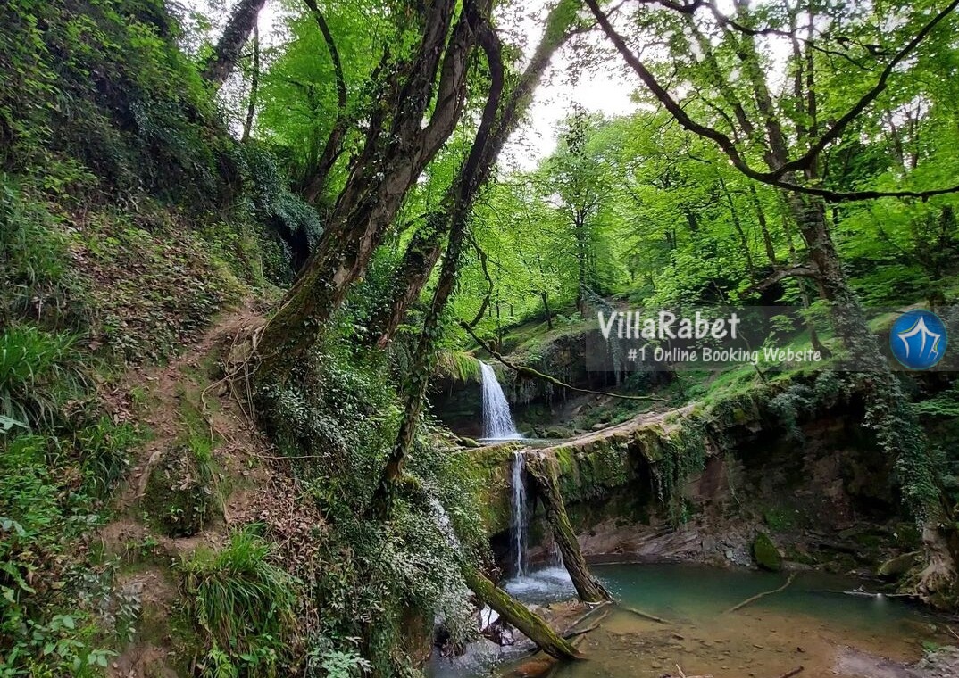 لفور کجاست جنگل لفور اجاره کلبه لفور1