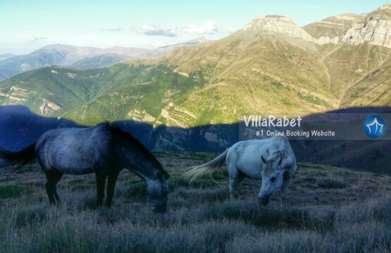 کدام فصل اجاره در زانوس بهتر است (2)