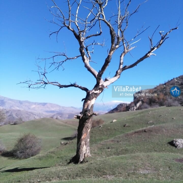 ییلاق ملومه ماسال کجاست