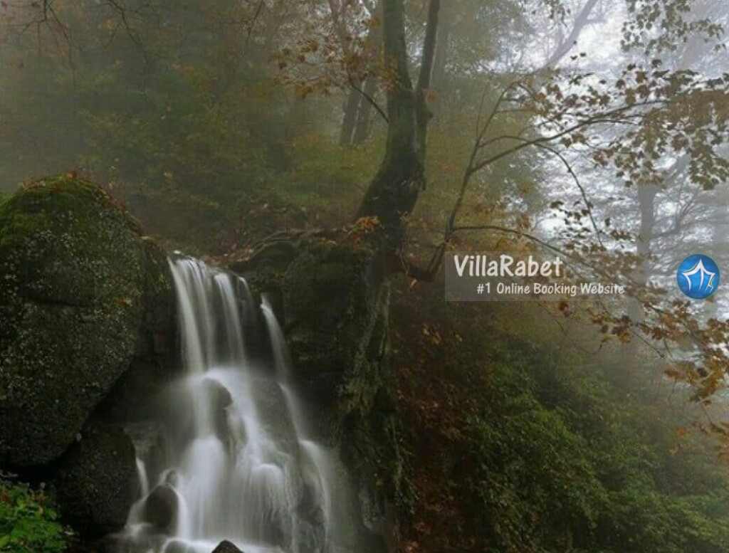 جنگل صفارود رامسر - ویلارابط اجاره ویلا رامسر جنگلی