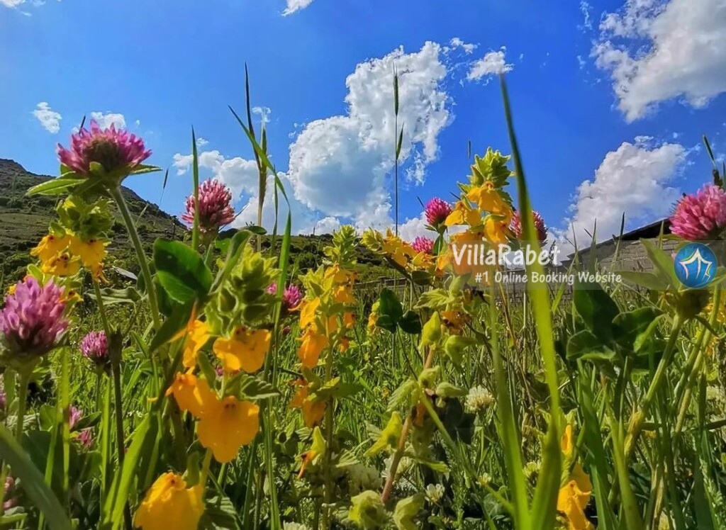 روستای گرسماسر (2)