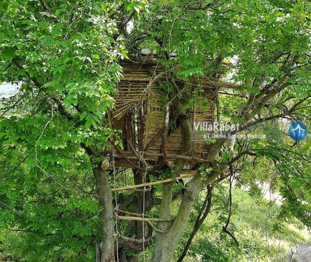 اجاره ویلا در کلاله،کلاله کجاست،اجاره ویلا استخردار در کلاله،رزرو ویلا کلاله اجاره ویلا کلاله (4)