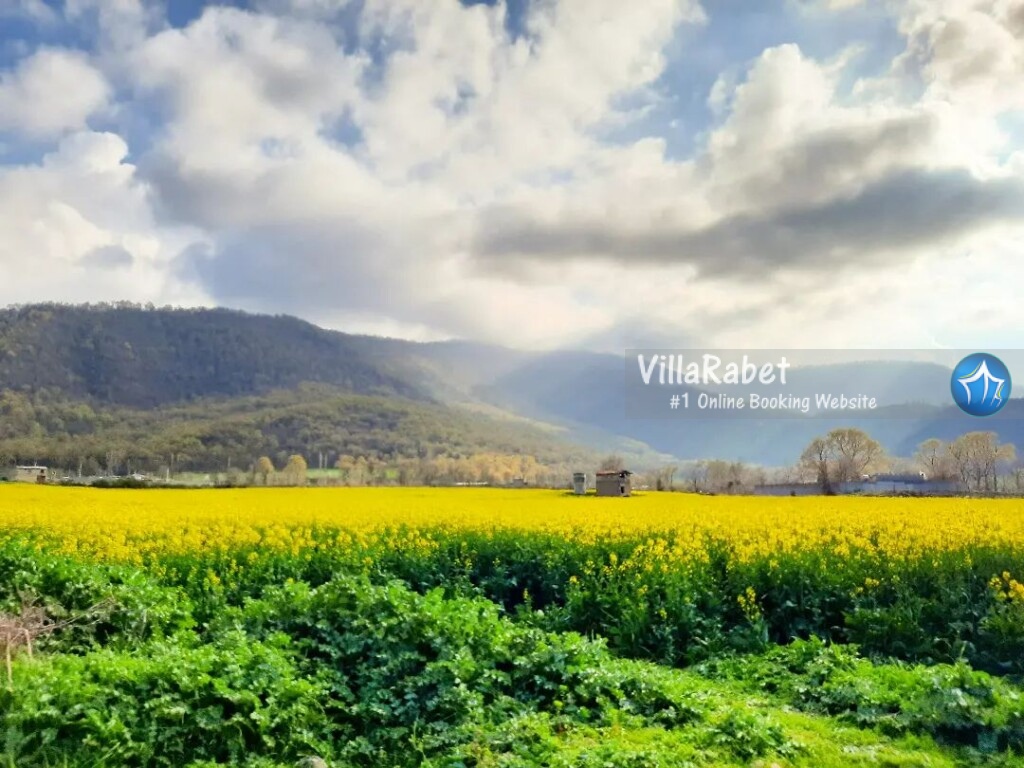 رامیان، رامیان کجاست، اجاره ویلا رامیان، رزرو ویلا رامیان، اجاره ویلا استخردار در رامیان اجاره ویلا در رامیان (2)