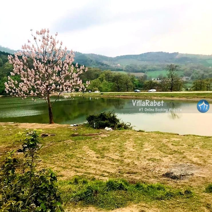 رامیان، رامیان کجاست، اجاره ویلا رامیان، رزرو ویلا رامیان، اجاره ویلا استخردار در رامیان اجاره ویلا در رامیان (5)