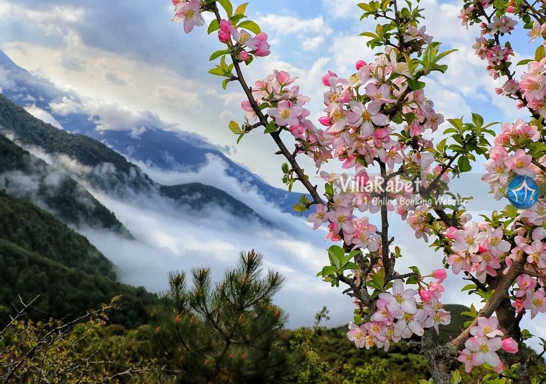 مناطق ییلاقی مازندران، مناطق ییلاقی گیلان، روستاهای ییلاقی، شهرهای ییلاقی شمال