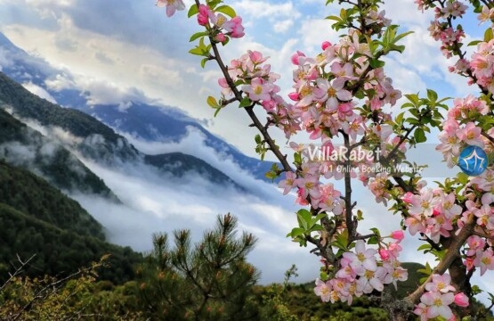 مناطق ییلاقی مازندران، مناطق ییلاقی گیلان، روستاهای ییلاقی، شهرهای ییلاقی شمال