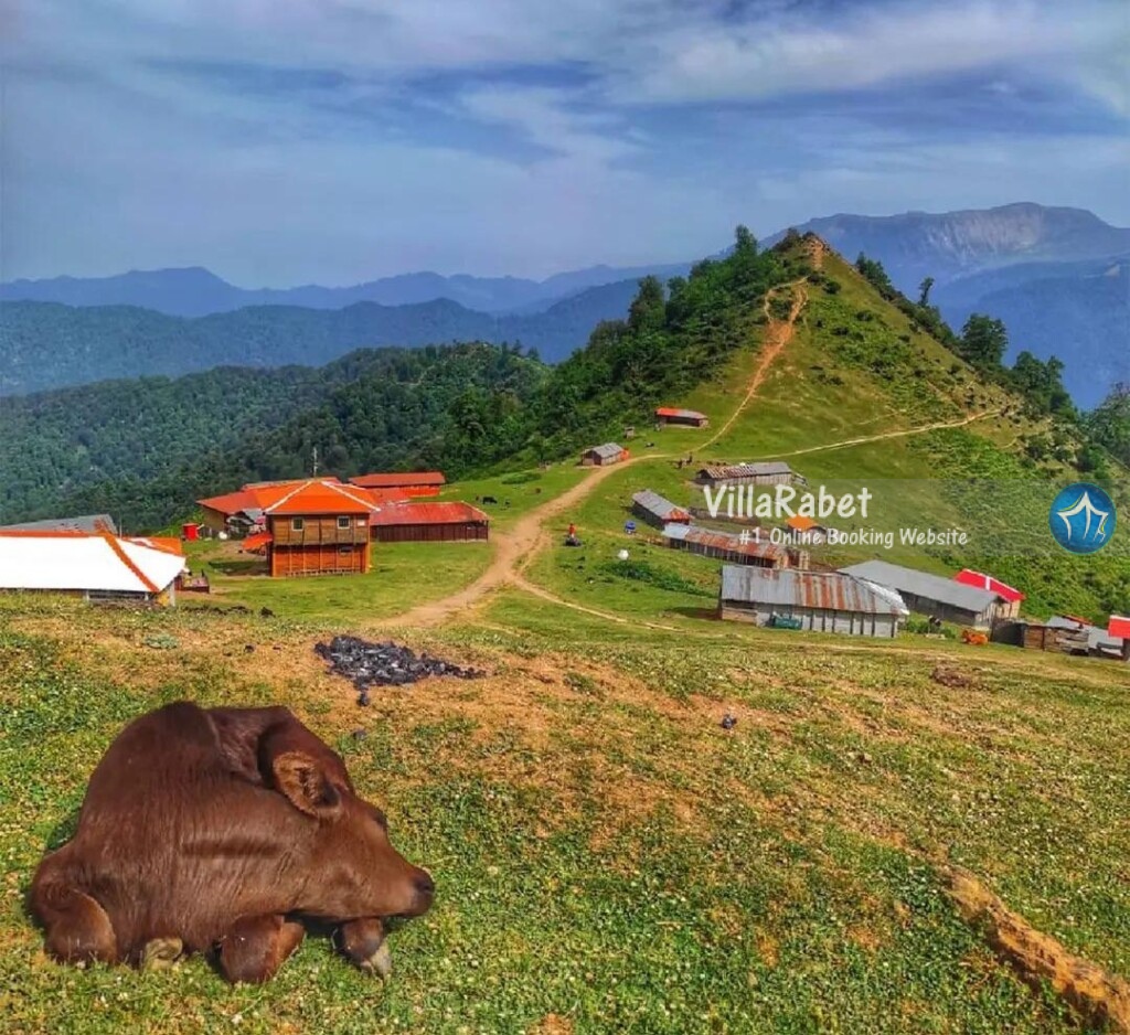 ییلاق چره پشت