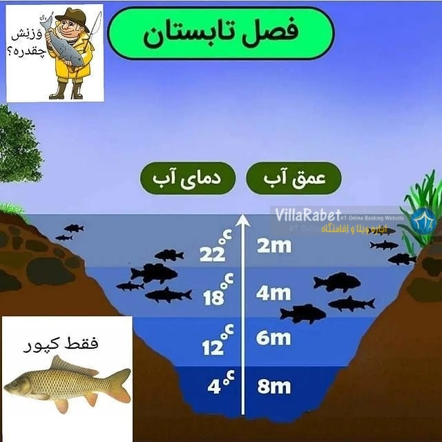 ماهیگیری در فصل تابستان