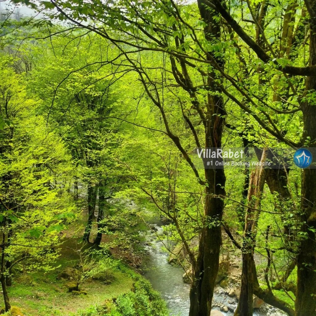 چشمه آبگرم فلکده تنکابن عکس و لوکیشین (3)