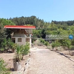 اجاره ویلای جنگلی بلوط در بهشهر