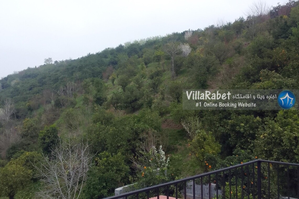 اجاره ویلا با منظره بسیار عالی جنگلی بابل