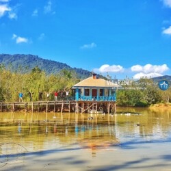 اجاره ویلای آب در رشت