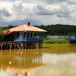 اجاره ویلای آب رشت اجاره ویلای آب در رشت (30)