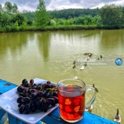 اجاره ویلای آب رشت اجاره ویلای آب در رشت (30)