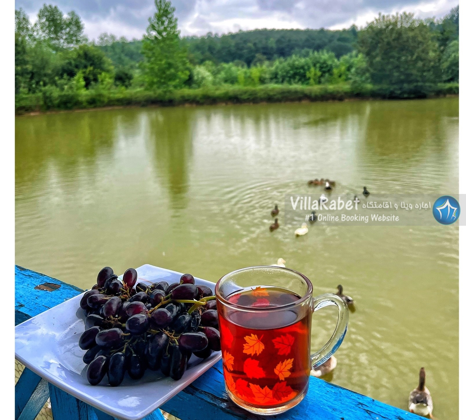 اجاره ویلای آب در رشت