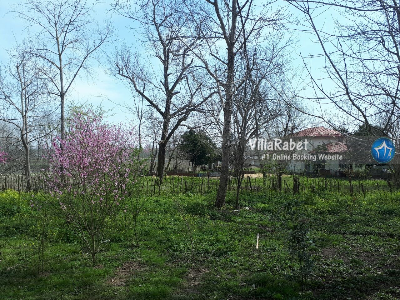 اجاره ویلای دربستی در شاندرمن ماسال